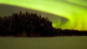Wild Lapland — foto 4