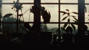 Movement and Stillness — foto 1