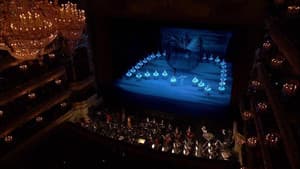 Swan Lake — foto 1