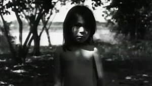 8 — foto 4
