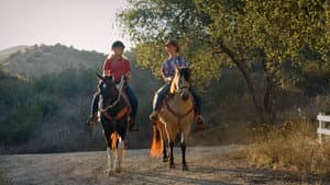 A Horse from Heaven — foto 5