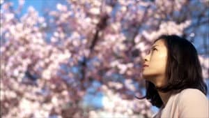 Nのために — foto 1
