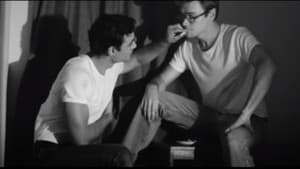 Chasing Marlon — foto 1