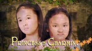 Princess Charming — foto 1
