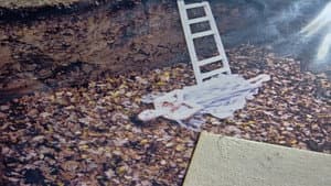 花を摘む少女と虫を殺す少女 — foto 8