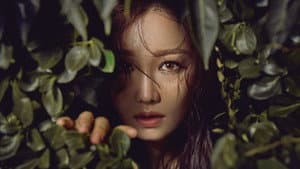 숨바꼭질 — foto 2
