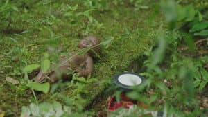 Crèches, razzia sur les bébés — foto 4