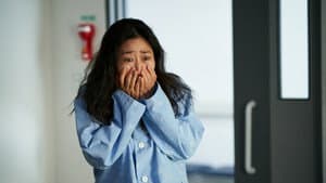 정직한 후보 2 — foto 4