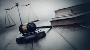 Caos en el Tribunal — foto 2