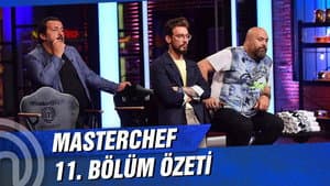 Episodio 11