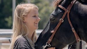 A Horse from Heaven — foto 2