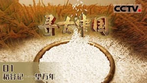 Episodio 13