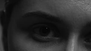 Echo Awake — foto 2