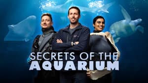 Secrets of the Aquarium — foto 2
