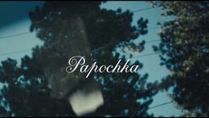 Papochka — foto 1