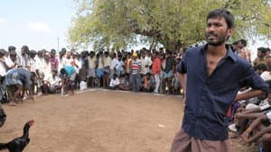 ஆடுகளம் — foto 4
