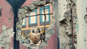 Porcelain War — foto 2