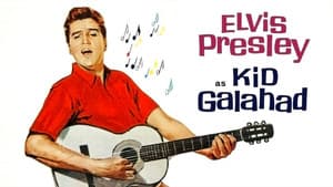 Kid Galahad — foto 4