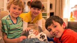 Topsy and Tim — foto 1
