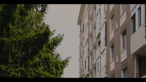Mira-futuro — foto 1