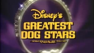 Disney's Greatest Dog Stars — foto 1
