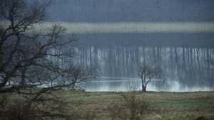 Nybyggarna — foto 1