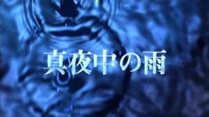 真夜中の雨 — foto 2