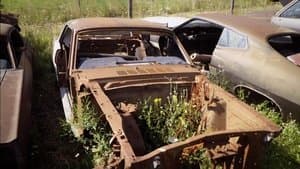 Un Mustang oxidado