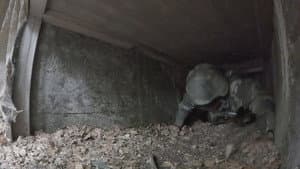 Episodio 7