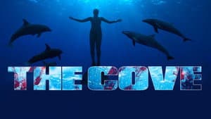 The Cove — foto 5