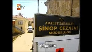 Episodio 16