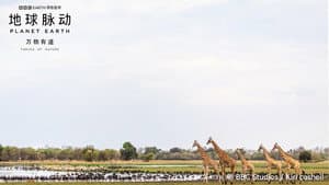 Planet Earth: Forces of Nature — foto 4