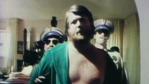 The Beach Boys: It's OK — foto 1