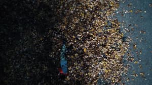 Alternate Ground — foto 10