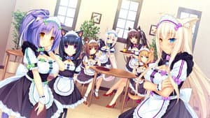 ネコぱらOVA — foto 2