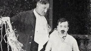 Hoffmeyer's Legacy — foto 1