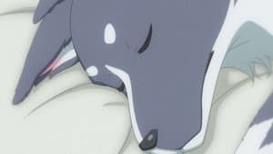 Episodio 12