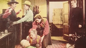 Cowboy Cavalier — foto 1