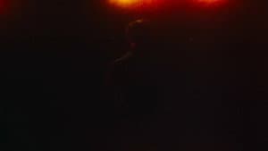 La Solitude du chanteur de fond — foto 3