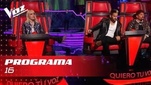 Episodio 16