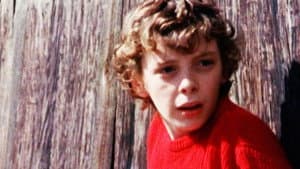 Terry on the Fence — foto 1