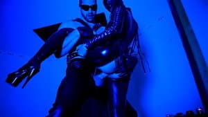 Rubbercats — foto 10