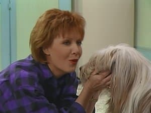 No eres más que un perro de caza