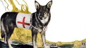 A Dog of the Regiment — foto 1