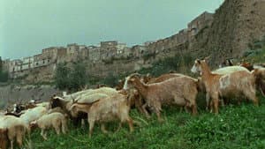 Il dono — foto 5