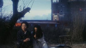 化石の森 — foto 3