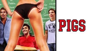 Pigs — foto 4