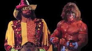 WWE SummerSlam 1992 — foto 1