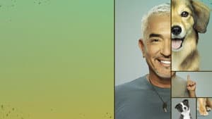 Cesar Millan: Better Human, Better Dog — foto 3