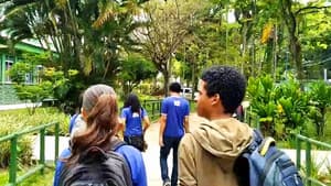 O Terceirão dos Lobos — foto 1